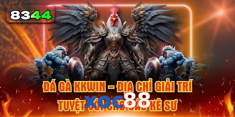 Xu Hướng Đá Gà xoc88 Hấp Dẫn Không Thể Bỏ Lỡ