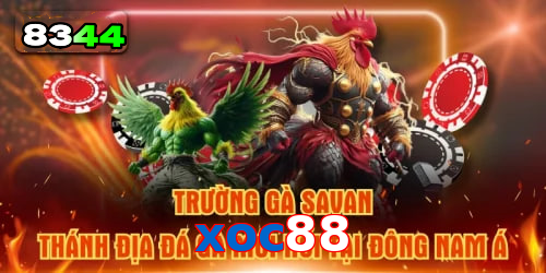 Mơ thấy cá chép – vận may trong học vấn và sự nghiệp